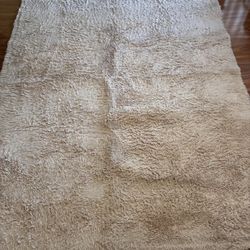 10.5 x 8 Furry Rug