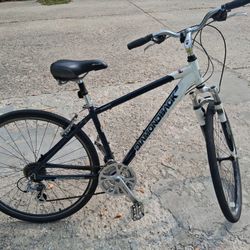 Diamondback Edgewood Bike 
