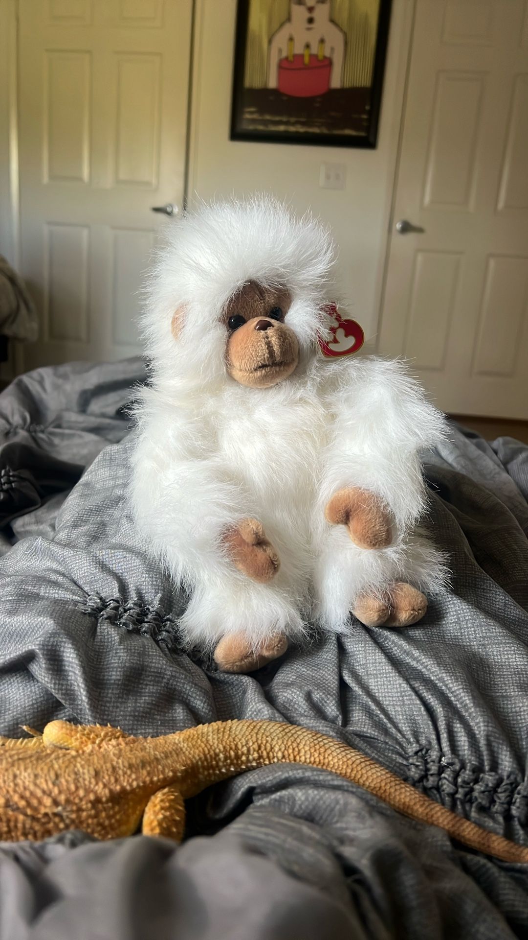 Beanie Baby