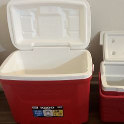 Igloo 28 Qt Cooler