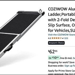 Aluminum Pet Ramp Ladder, 63.5"L