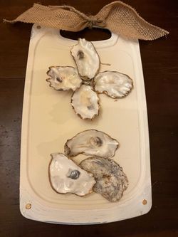 Oyster Shell Wall Art