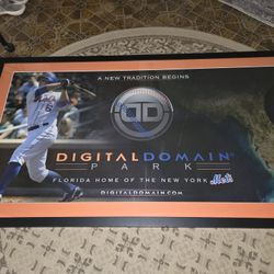 David Wright Digital Domain New York Mets Framed Picture