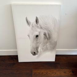 Large Canvas Wall Art – White Horse Print | Modern Home Decor