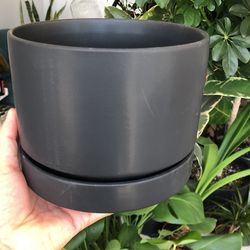 Round Two - 6 inch Pot Black