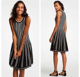 Ann Taylor Knit Striped Dress