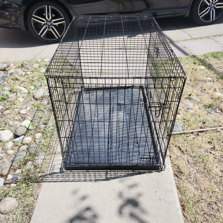 Dog Kennel