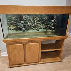 75 Gallon Aquarium With Built In Filter