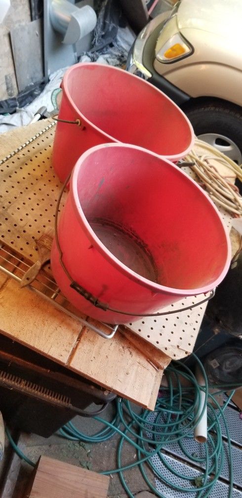 Botes Para La Pisca De Tomate