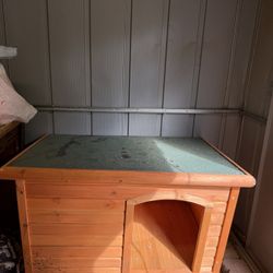 Dog House 