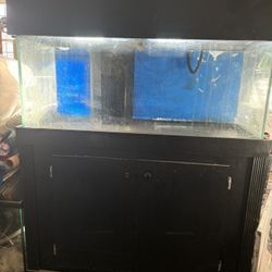 100 Gallon Fish Tank +extras