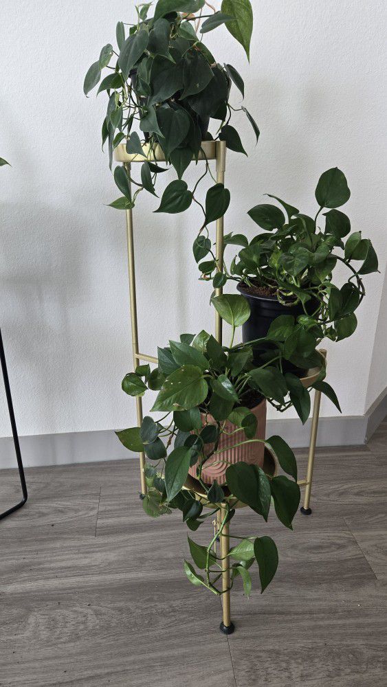Gold 3 Tier Plant Stand 
