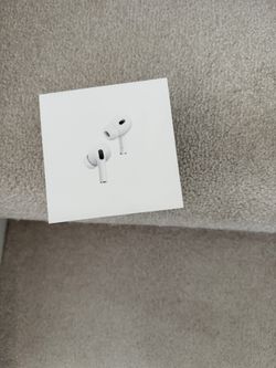 Apple Earbud Case And Buds