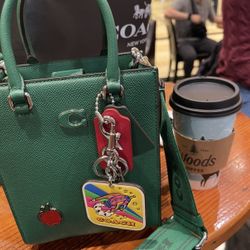 Coach All Green Little Tote All Leather  
