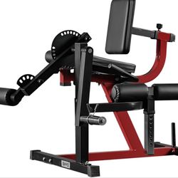 Leg Extension and Curl Machine 