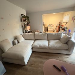 Brand New Feathers Sectional 