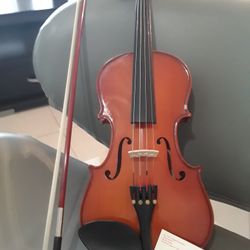 New Handcrafted Palatino VN-350 Violin With Case
