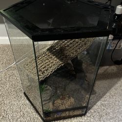 Hexagon Reptile Enclosure/Terrarium