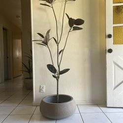 Large Vessel Ceramic Planter 18” Wide By 9” Height 