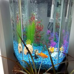 20 Gallon TopFin Captivate Starter Tank