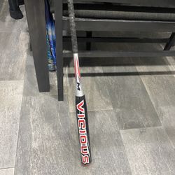 Soft Ball And Baseball Bats Male And Female 
