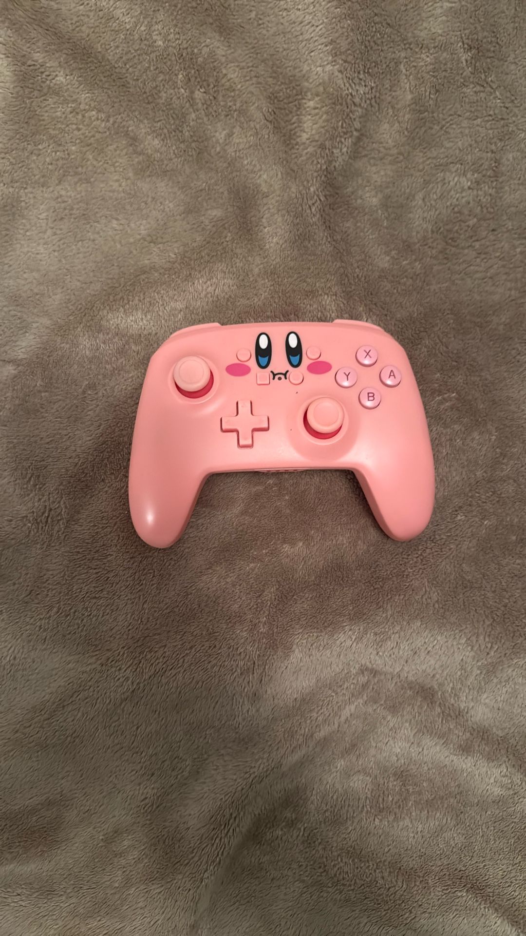 Nintendo Switch Controllers 