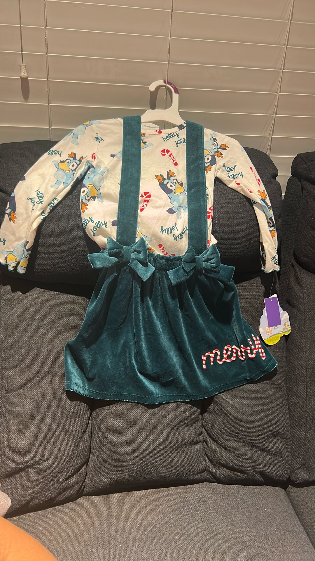 Bluey Toddler girls Christmas Dress