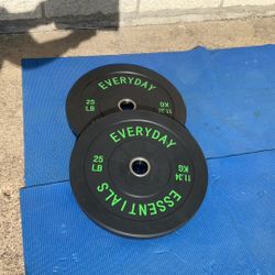 Weights / Bumper Plates 