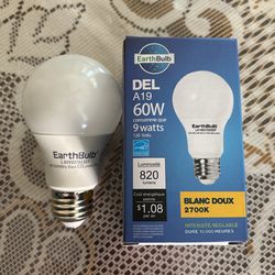 Earth Bulb LED A19 60W