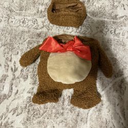 Teddy Bear Costume For Dogs 