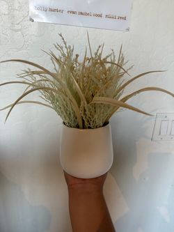 Plant decor
