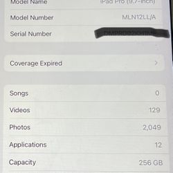 iPad Pro 9.7 256gb Wifi Gold