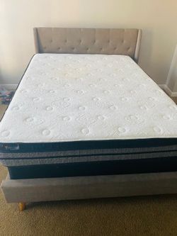 Bed Frame, Mattress & Box Spring