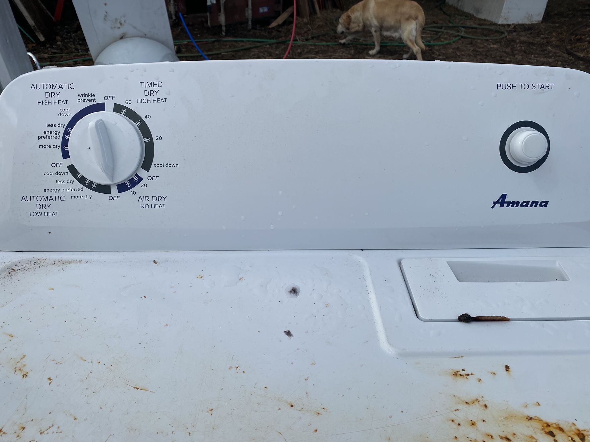 Amana Washer And Dryer Combo for Sale in WA OfferUp