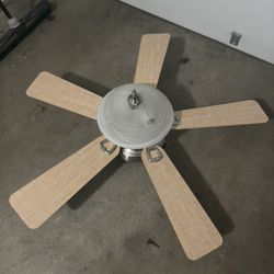 Ceiling fan with light 