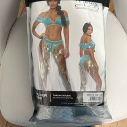 Adult Princess Jasmine Costume