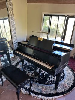 Hamburg 1927 Steinway Model O
