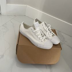 Converse Shoes Size 8