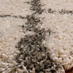 Carpet 2 Sizes  Moving Out Sale.