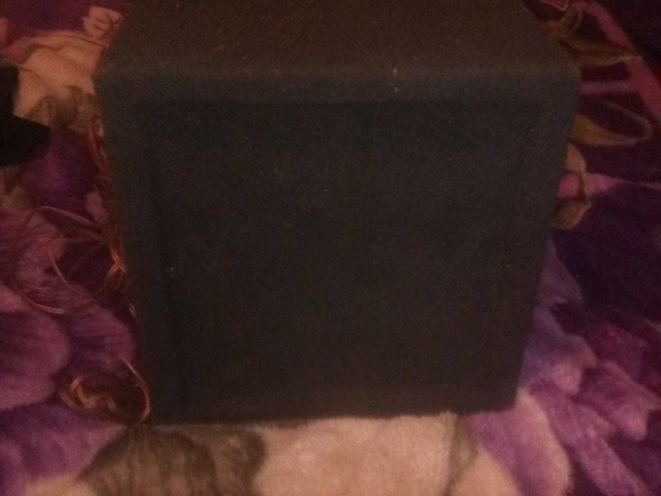Rockford fosgate punch 10 inch speaker