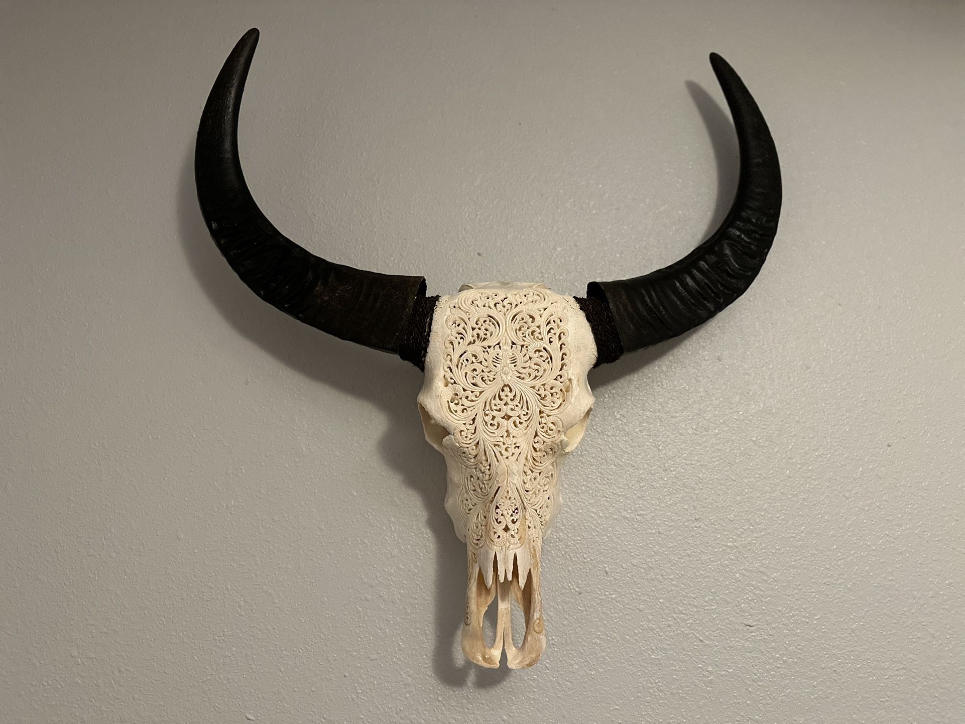 Buffalo Skull Hand Carved