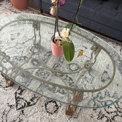 Glass Coffee Table 