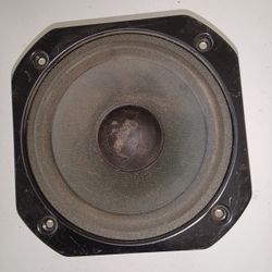 Pioneer 6.5" Woofer Raw Driver 