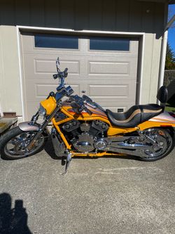 06 Harley Davidson VRod Screaming Eagle