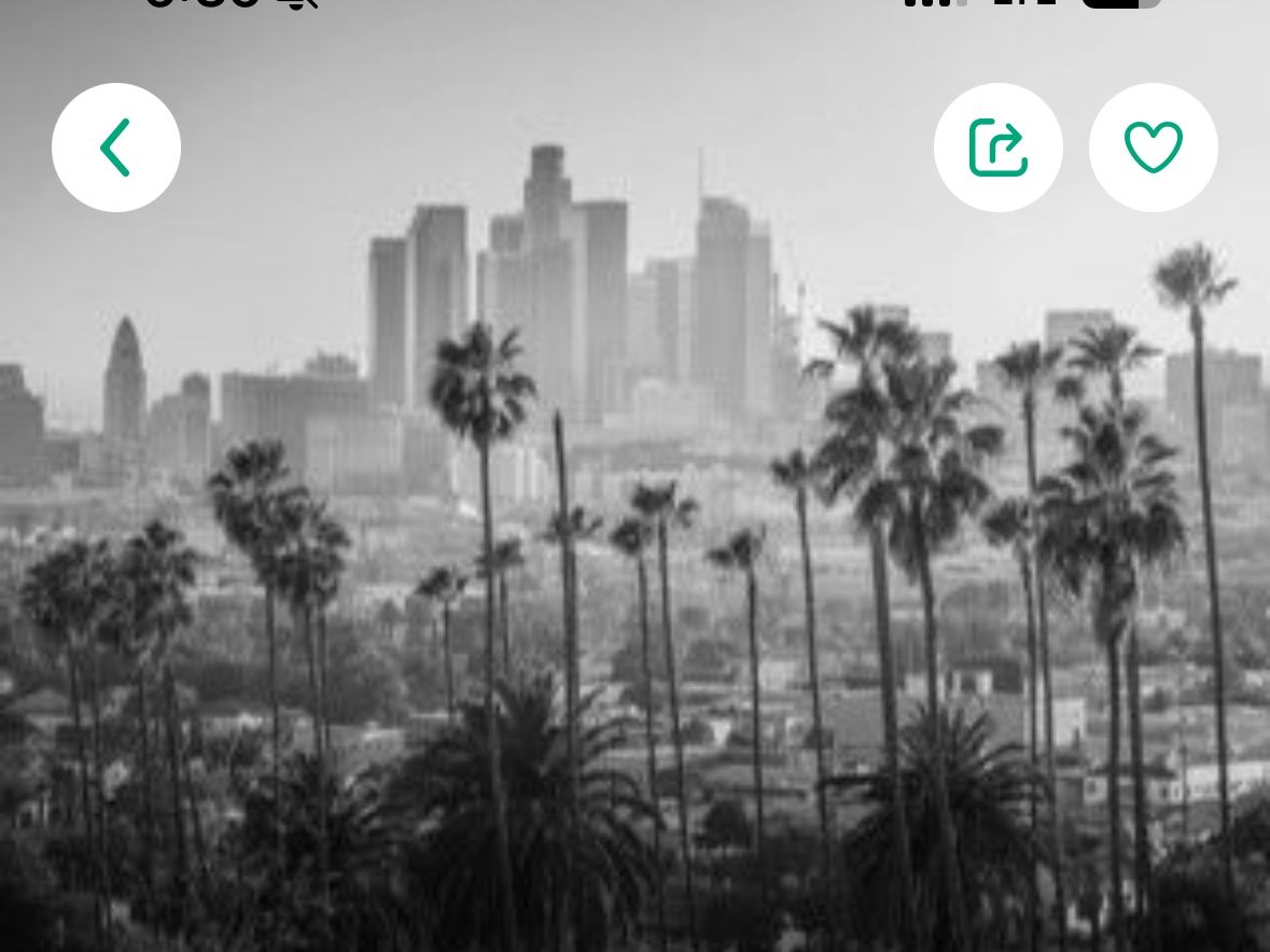 Picture Of LA
