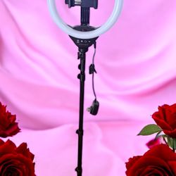 Ring Light 12-inch Ring Light with 67-inch Selfie Stick, Tripod and Phone Holder, Selfie Remote
