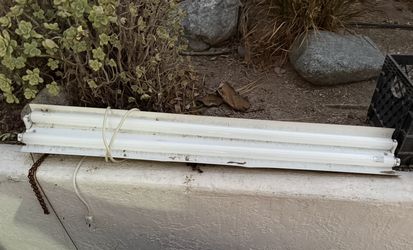FREE. Fluorescent Strip Light