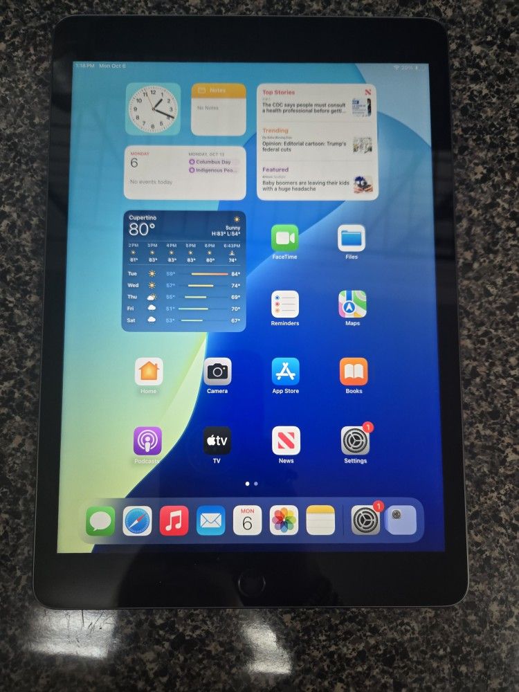 Apple Ipad 9th Generation
