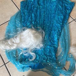 Frozen Elsa costume + wig 