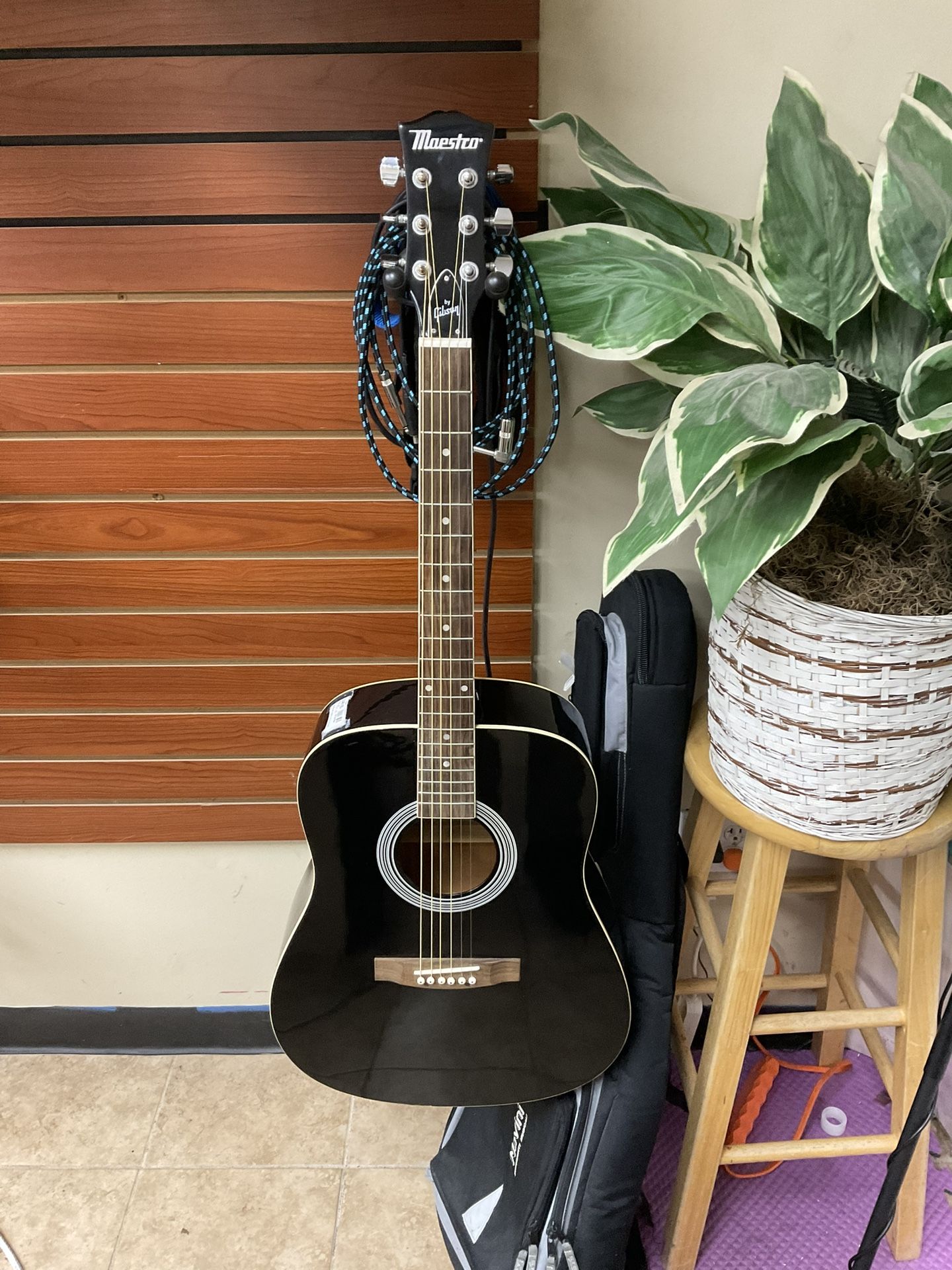 Maestro By Gibson Acoustic Guitar
